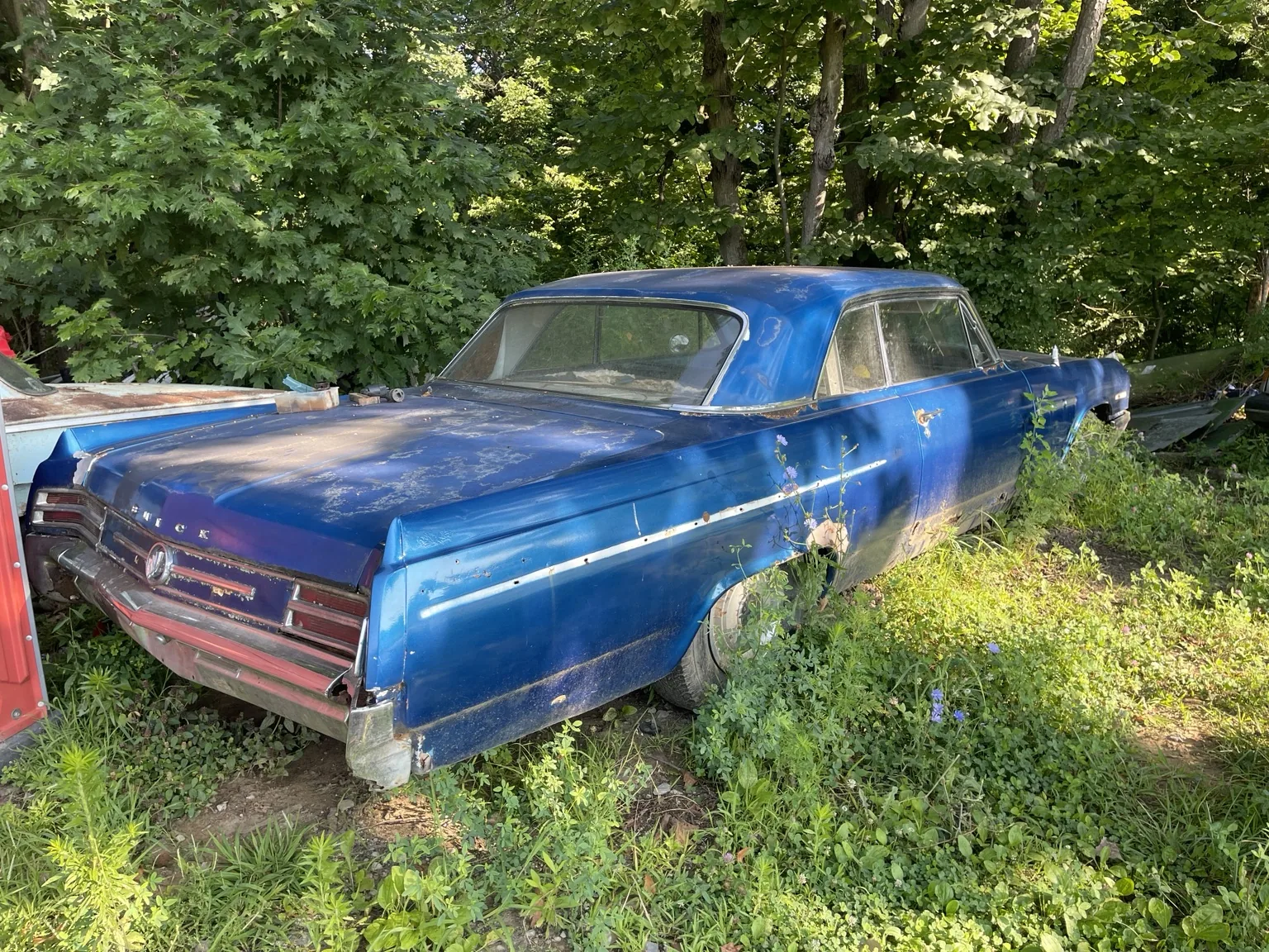 DMFW blue Buick LeSabre